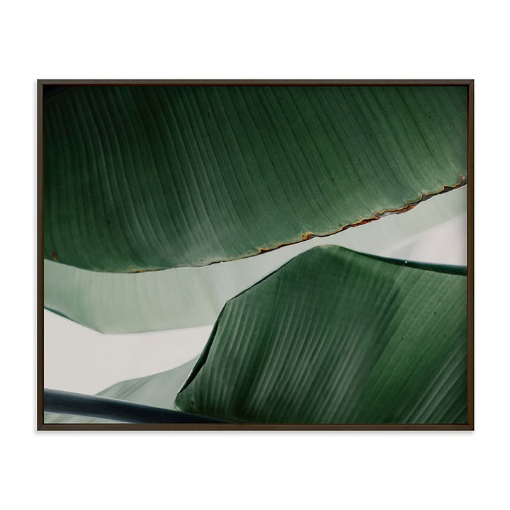 Leaf and Light 4 Framed Wall Art by Minted for West Elm-40"x30"