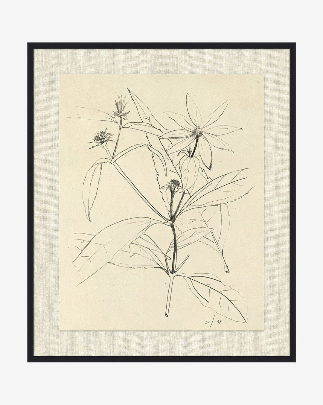 Floral Study 3 with Frame-21.5"x25.5"