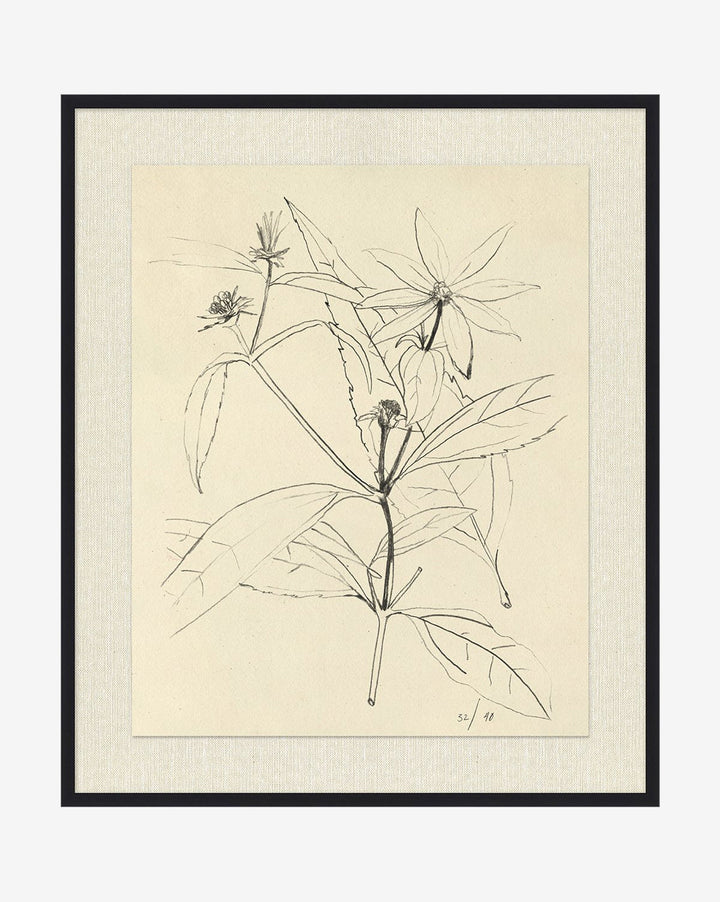 Floral Study 3 with Frame-21.5"x25.5"