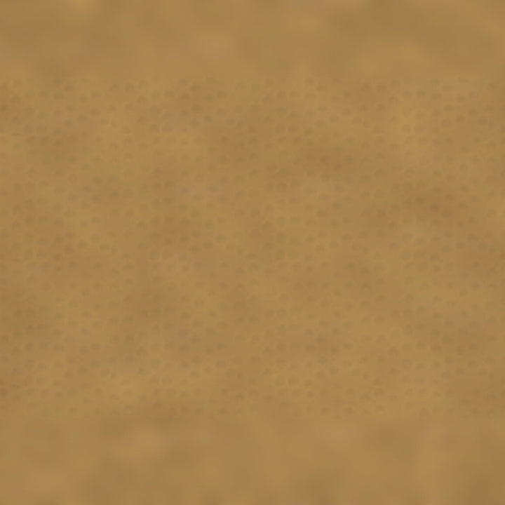 Hatchett Brass Pot Planter