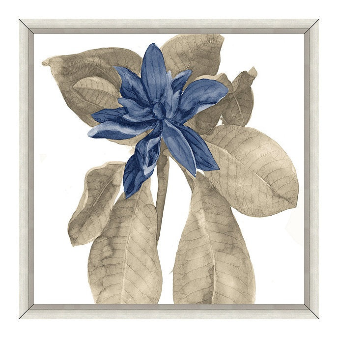 Watercolor Buchoz Art With Frame 18"x18"