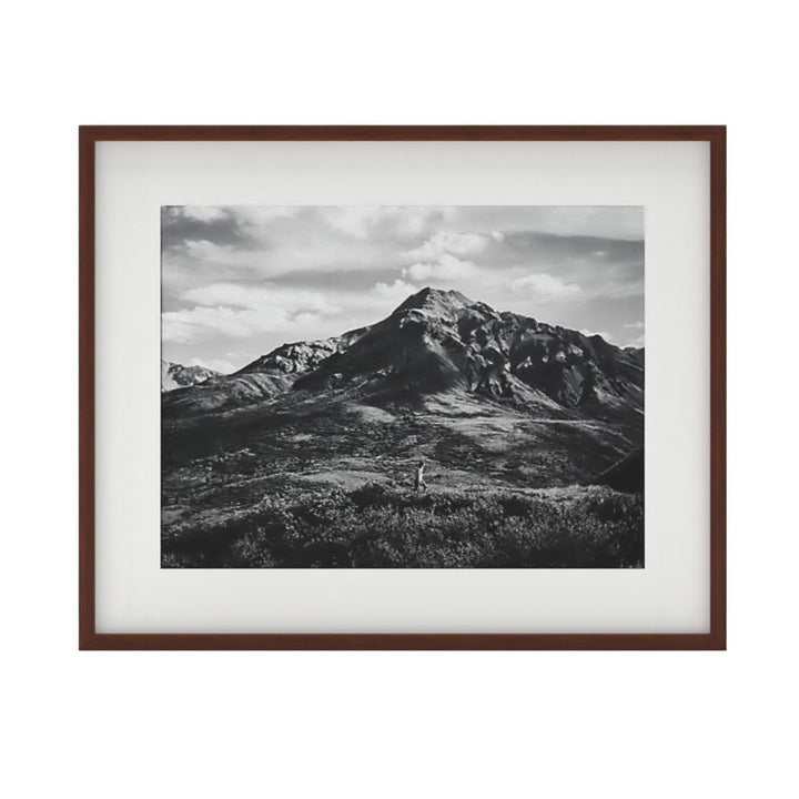 Gallery Walnut Frame With White Mat-18''x24''