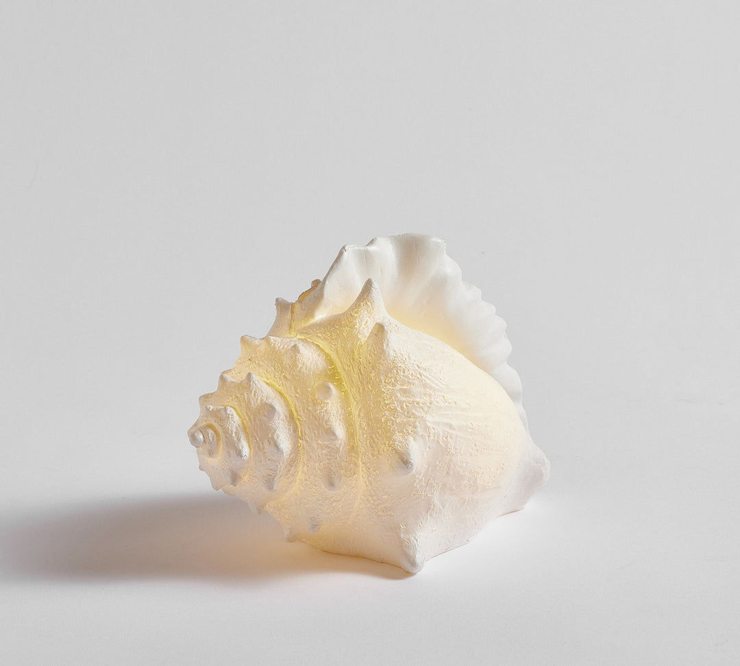 Lit Coastal Objects Seashell