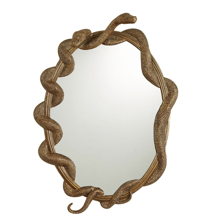 Wizarding World Nagini Mirror