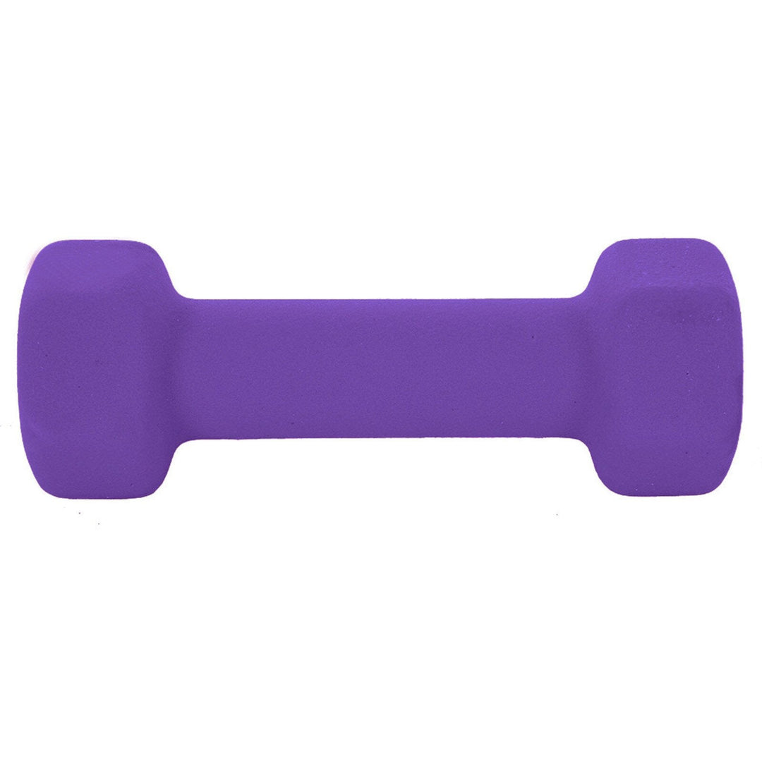Barbell All Purpose Dumbbells Set Of 2