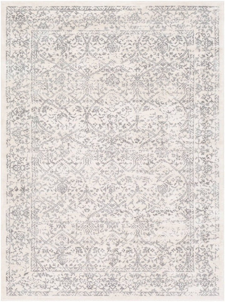 DeSoto Performance GrayIvory Rug