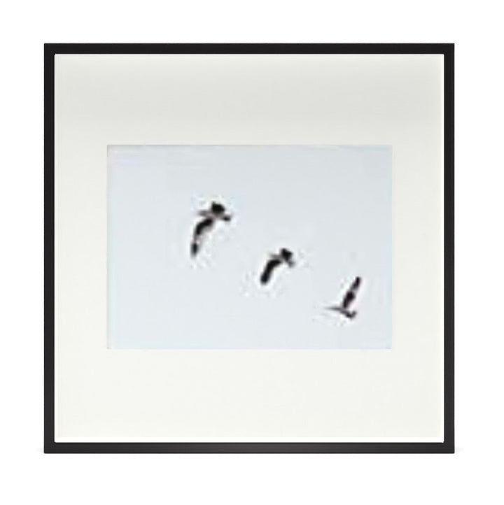 Brushed Gunmetal Picture Frame Gallery(Set of 9) With Frame