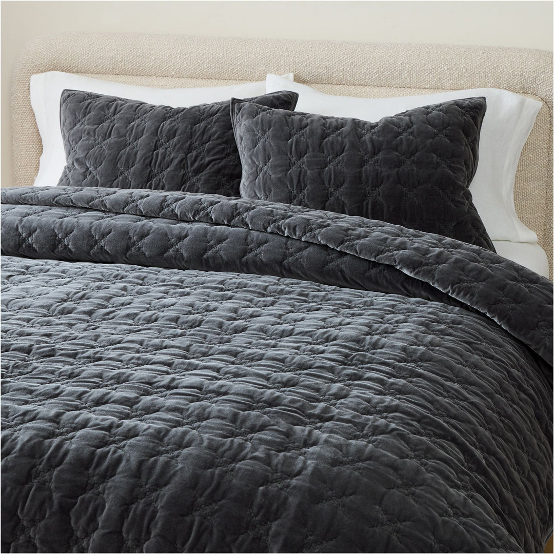 Embroidered Washed Velvet Quilt & Shams