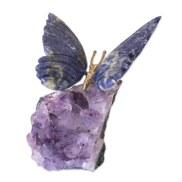 Dorian Morpho Butterfly
