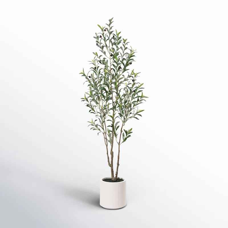 Adcock Faux Olive Tree in White Planter