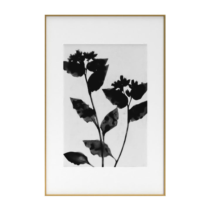 Black and White Moody Floral Framed Art Print with frame-24"x36"
