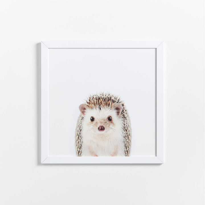 Baby Hedgehog Framed Wall Art-20"x20"