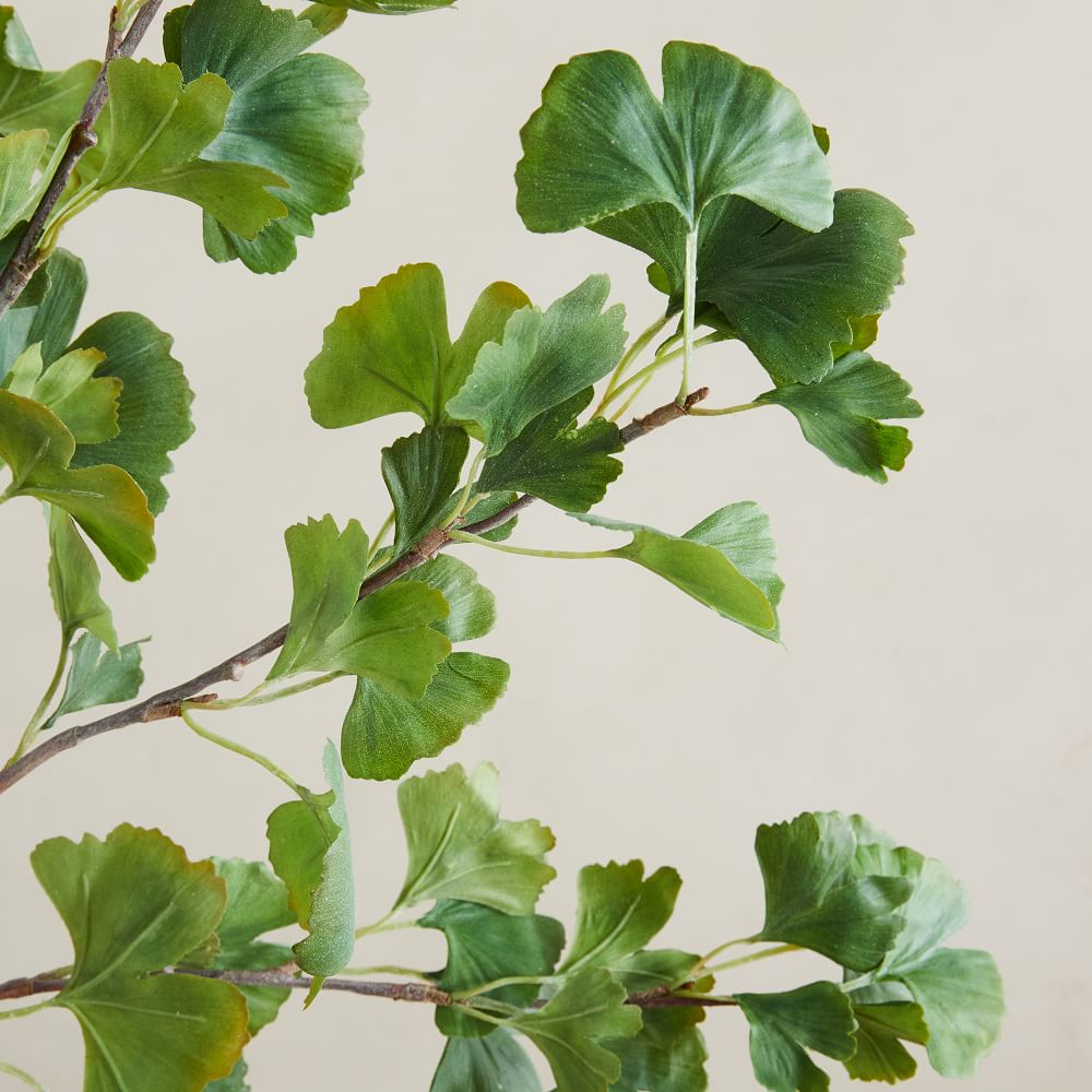 Faux Gingko Branch