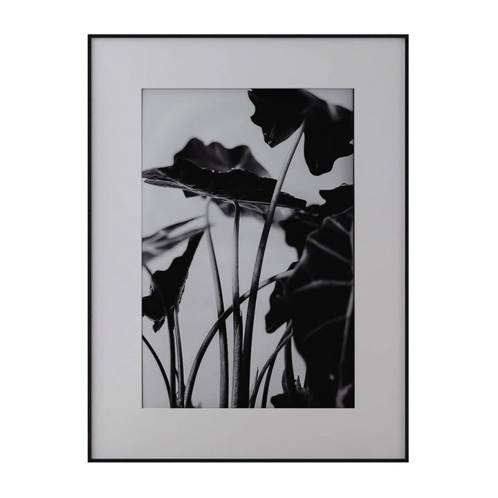 Gallery Black Picture With White Mat with frame 24"X36"