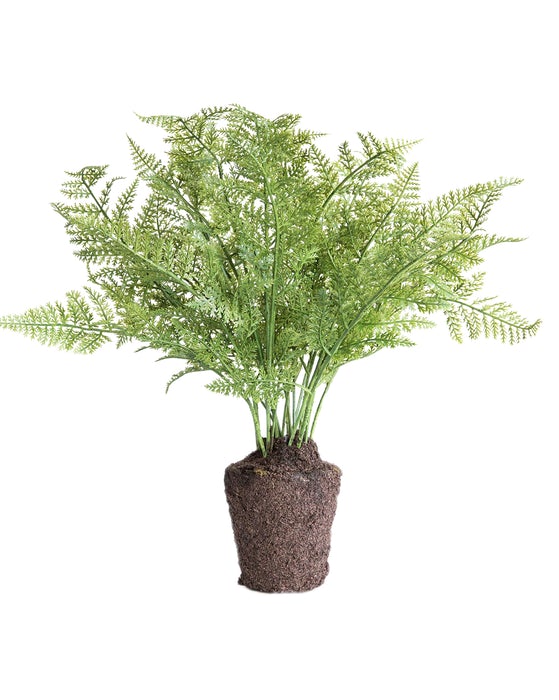 Faux Fern Drop In
