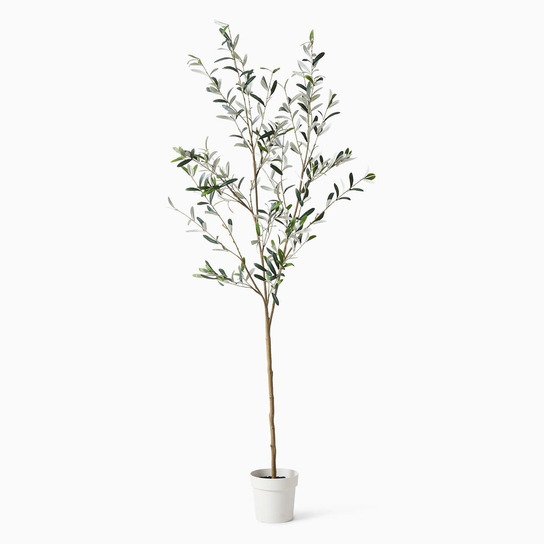 Faux Potted Black Olive Tree