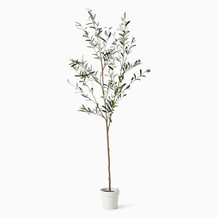 Faux Potted Black Olive Tree