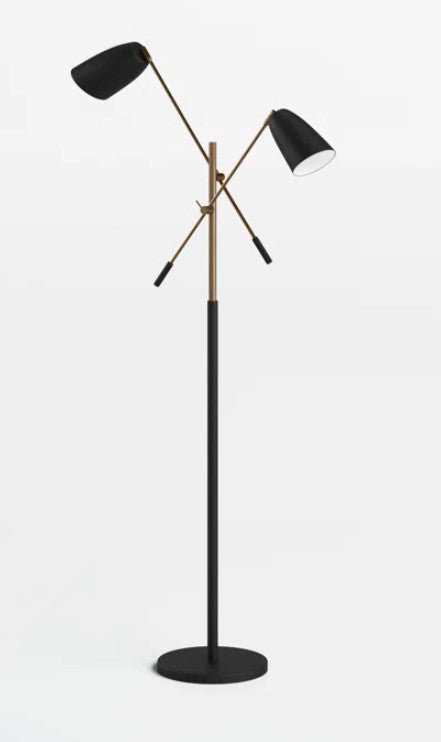 Rakiura 66.1'' Task Floor Lamp