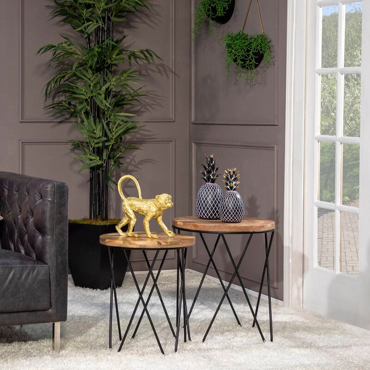 Derbyshire Walking Monkey Figurine