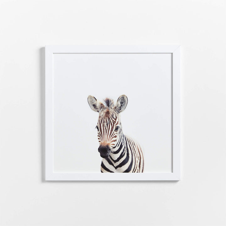 Baby Zebra Framed Wall Art-20"x20"