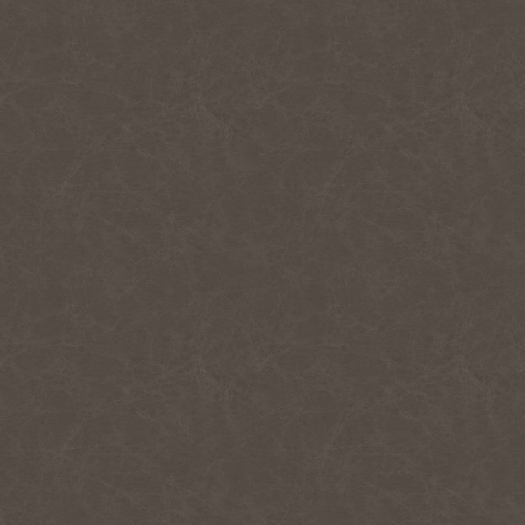 Leather Backed Dining Chair