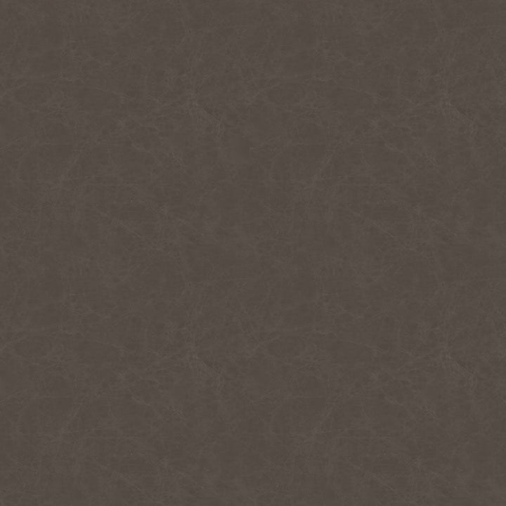 Leather Backed Dining Chair