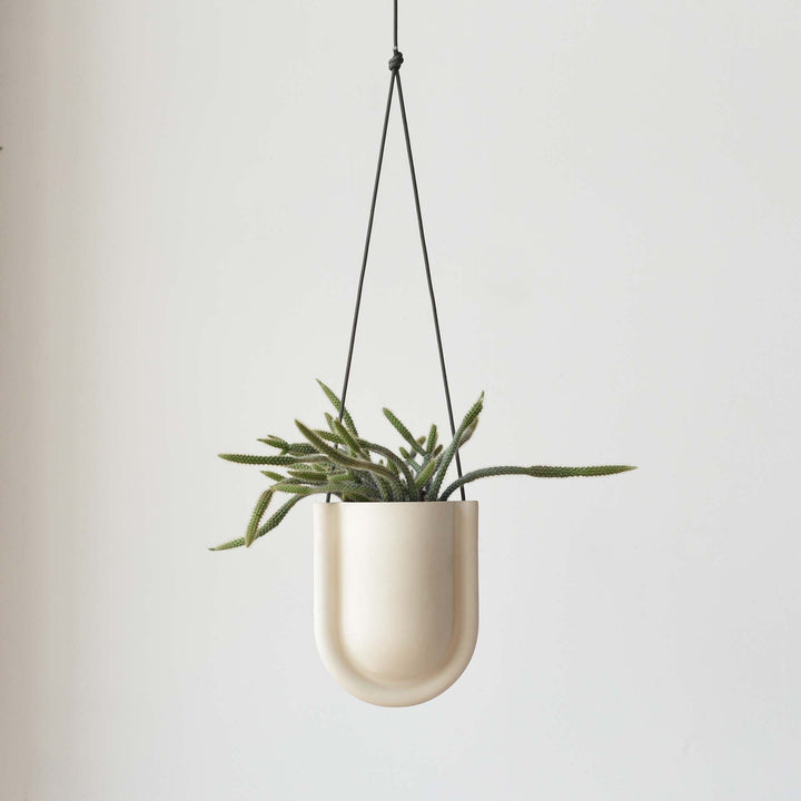 Misewell Portico Hanging Planter