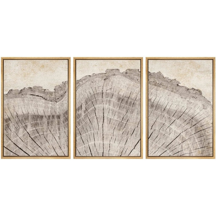 Tree Ring Rustic Oak Wood Farmhouse Decor Neutral Modern Organic Framed Canvas 3 Piece Print Art