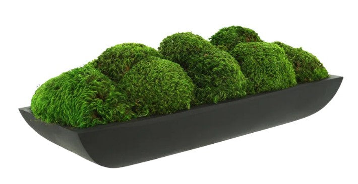 Preserved Moss Arrangement In Oblong Planter