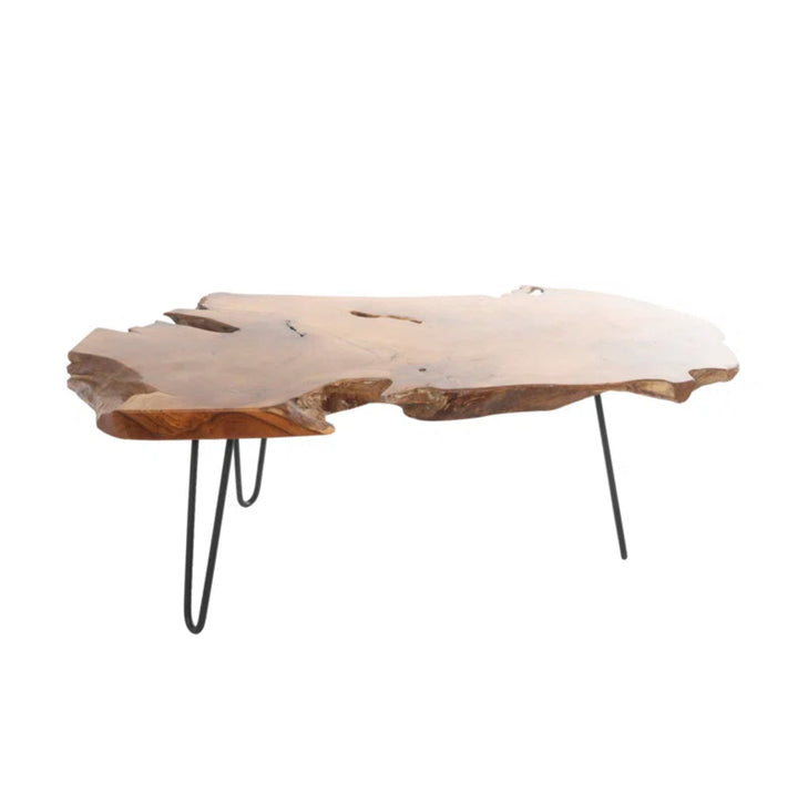 Holdridge Coffee Table