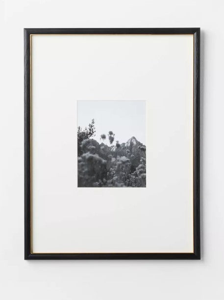 Gallery Wall Frame Black Brass 18x24