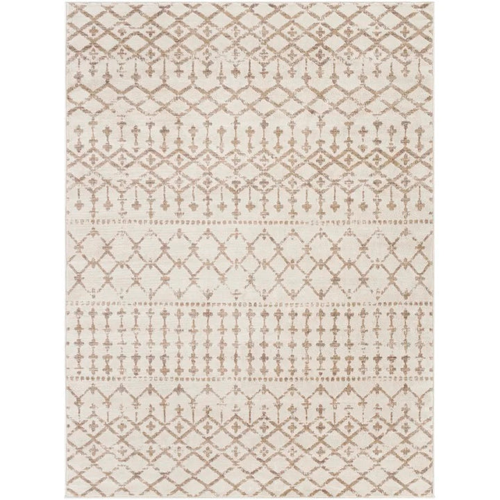 Emilio Performance Rug