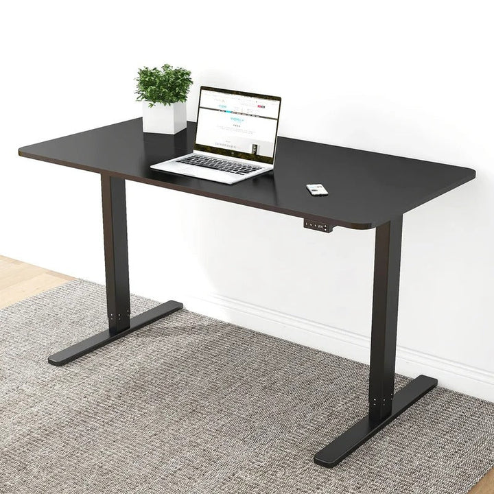 Home Office Electric Height Adjustable Standing Desk