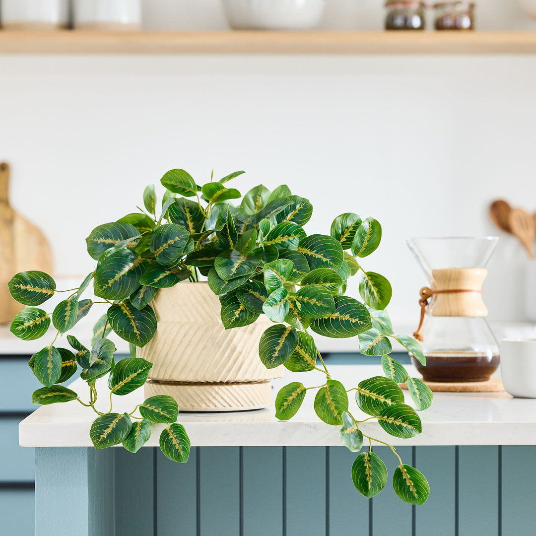 Faux Potted Herringbone Maranta Plant