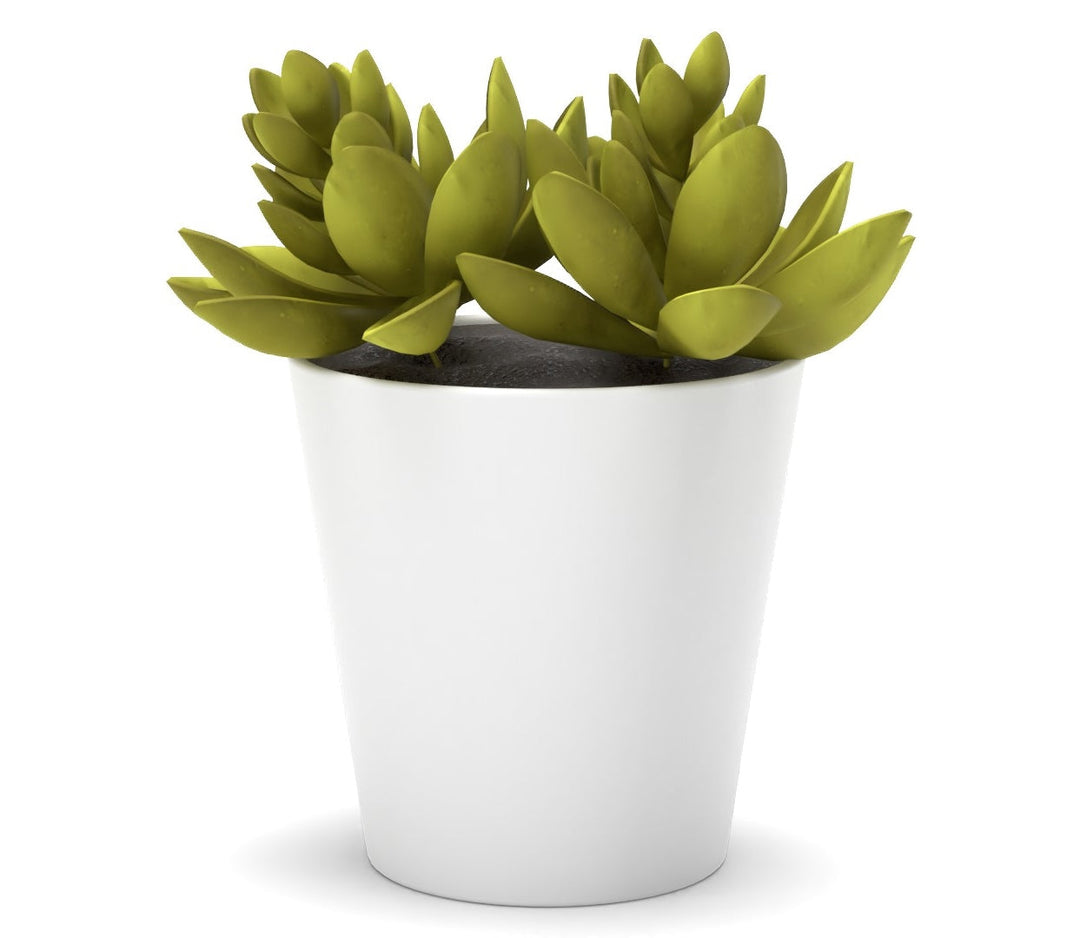 Faux Potted Echeveria Succulent Plant