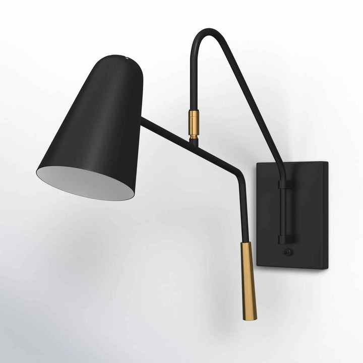 ED Ellen DeGeneres Simon 1 - Light Swing Arm