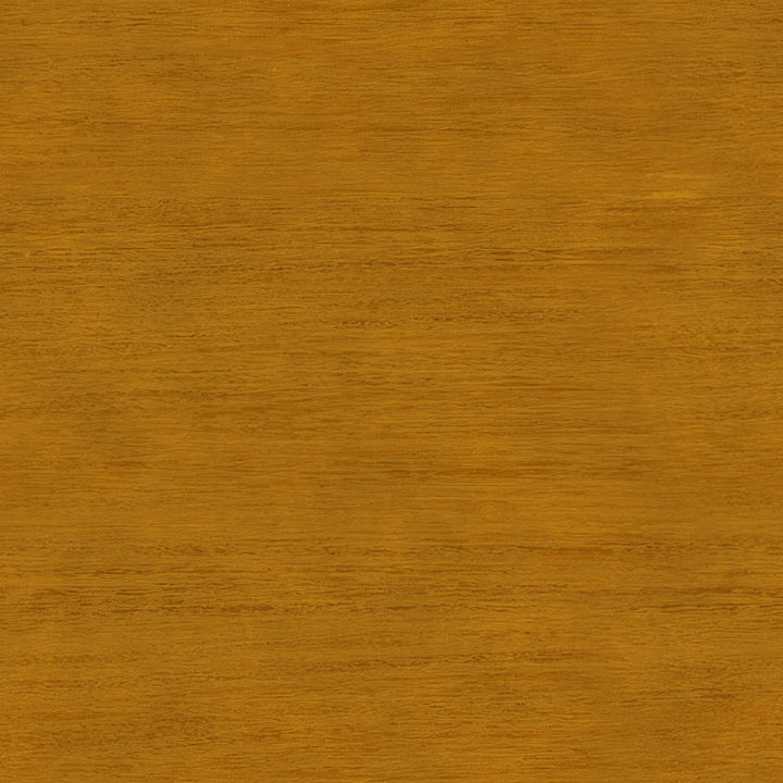 Llama In The Snow Wall Art