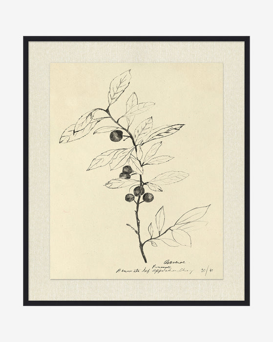 Floral Study 1 With Frame-21.5"X25.5"