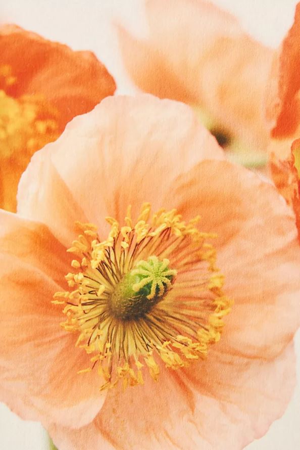 Old Fashioned Wall Art Framed