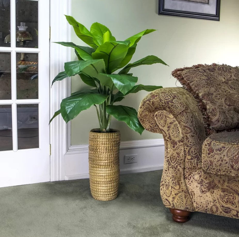 Artificial Spath Plant in Basket