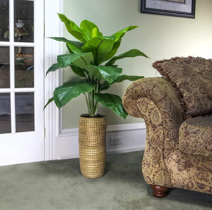 Artificial Spath Plant in Basket