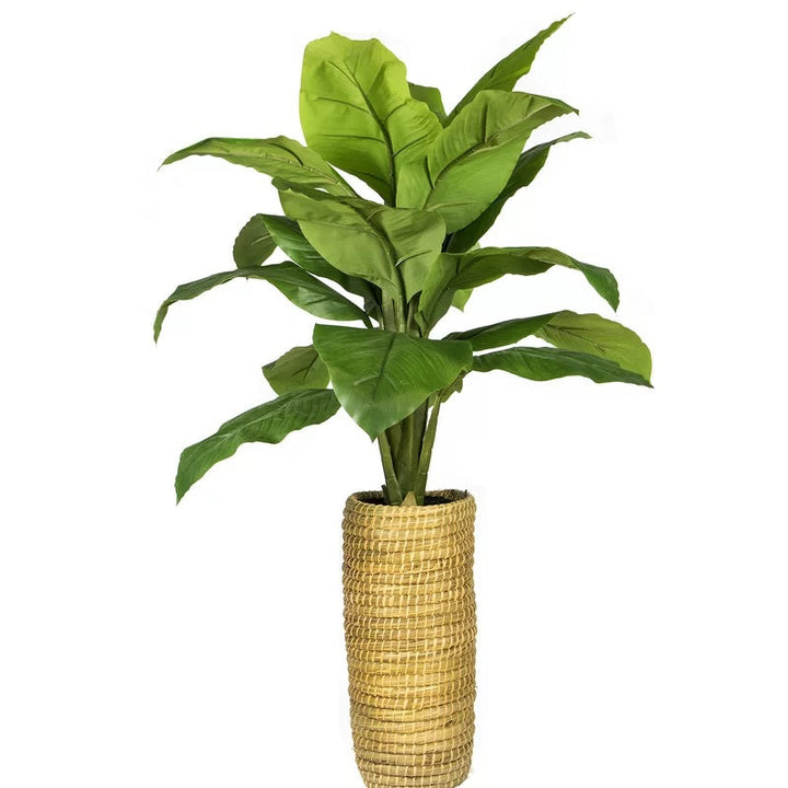Artificial Spath Plant in Basket