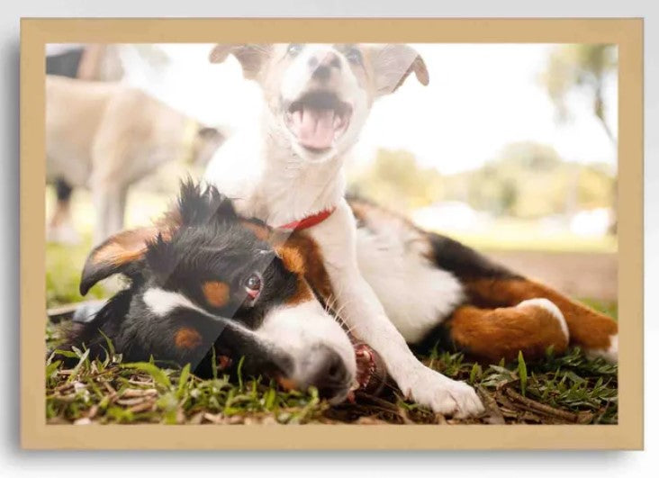 Wood Picture Frame 30x40