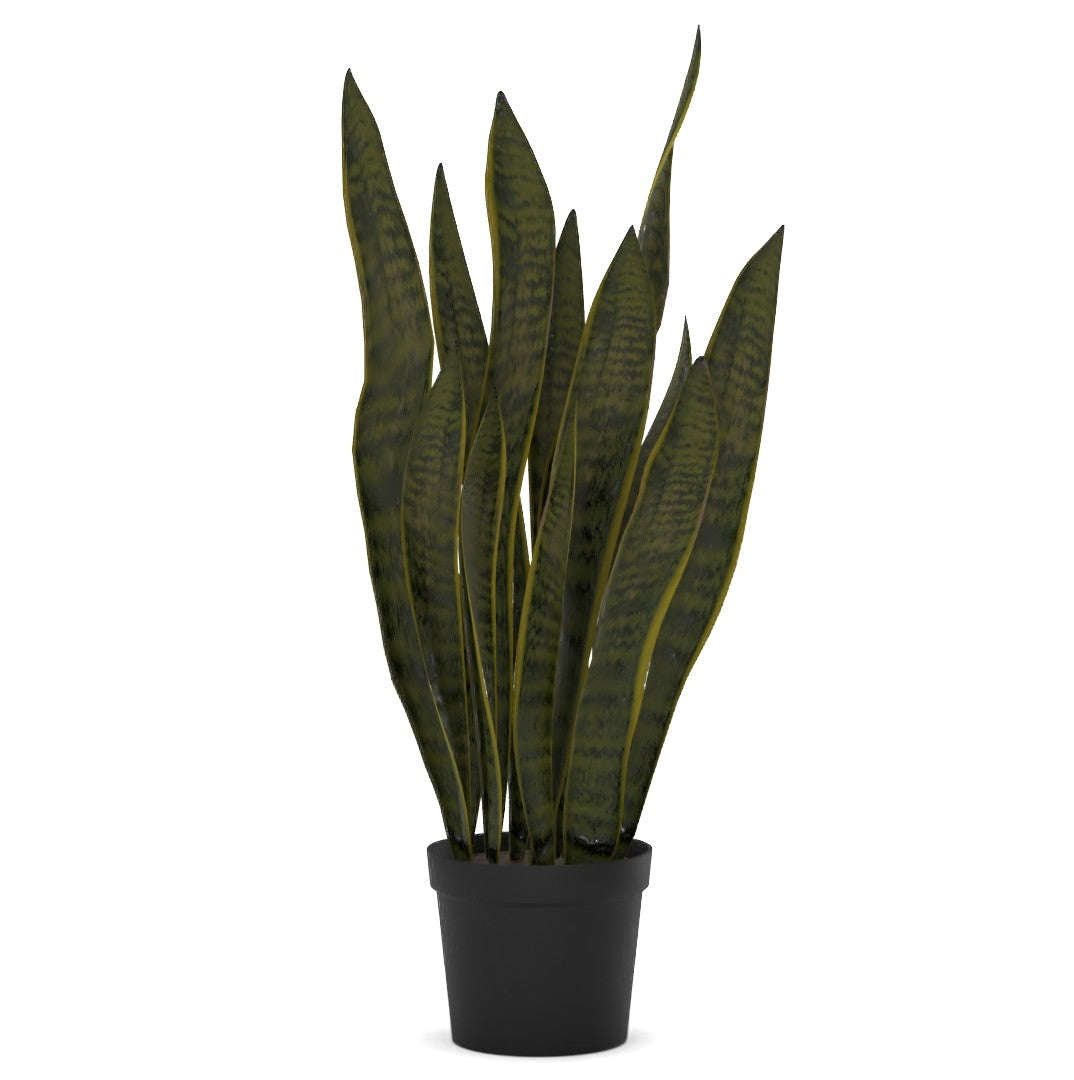 Faux Snake Plant