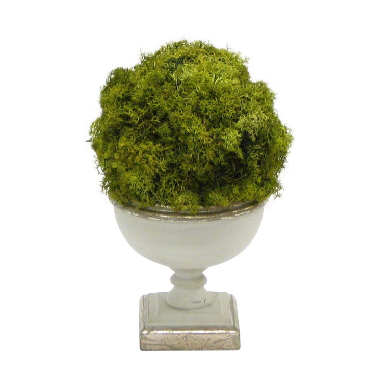 Preserved Moss Topiary in Urn