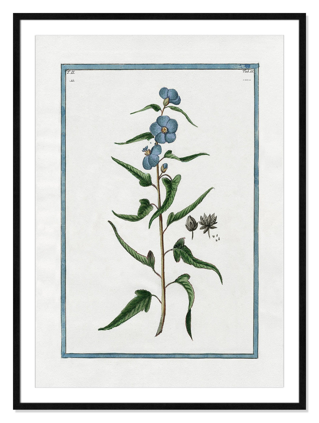 Shabby Elegance Botanical I Framed Art Full Bleed