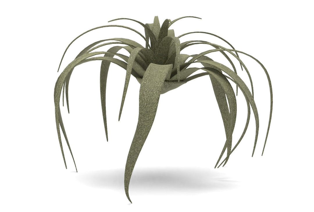 Faux Tillandsia Succulent Stem