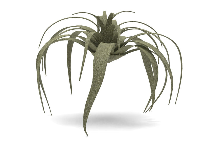 Faux Tillandsia Succulent Stem