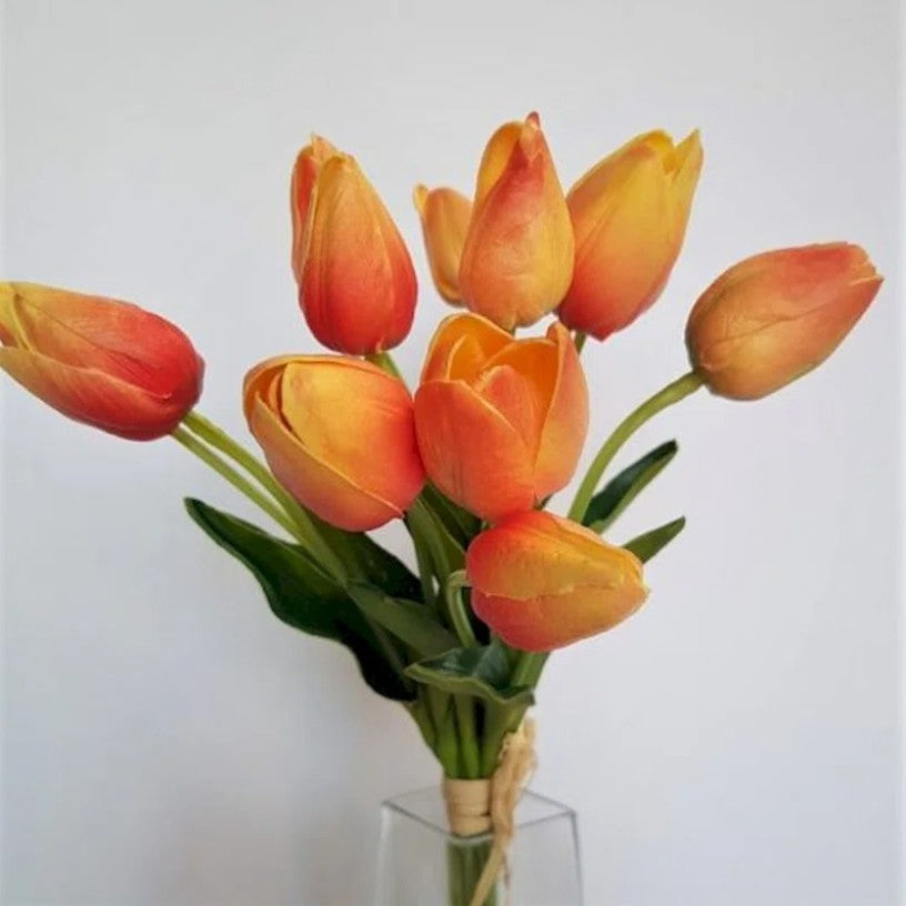 Tulip Arrangement (Set of 12)