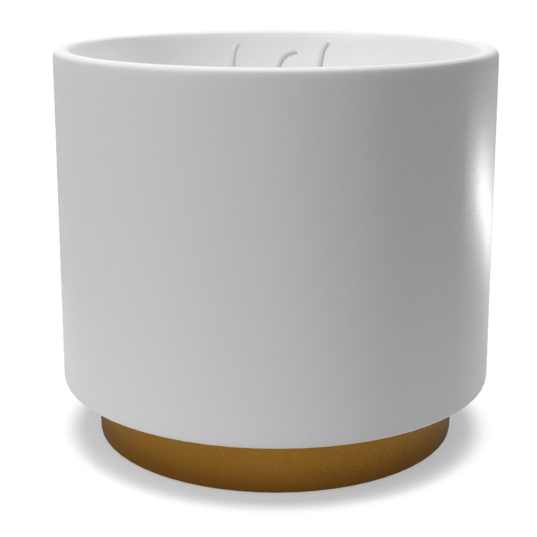 Rita Candle Collection - Tonka Noir